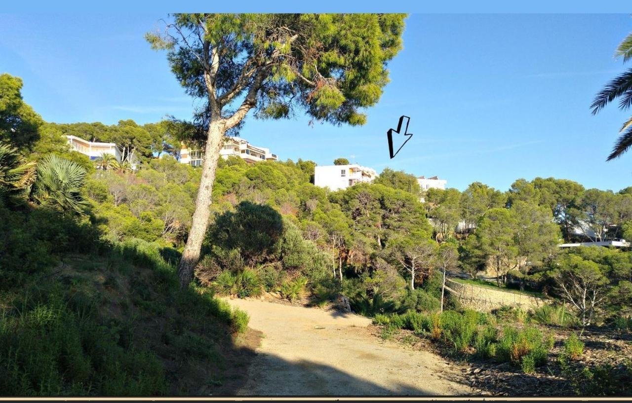 Aguila Dorada Apartment Salou Bagian luar foto